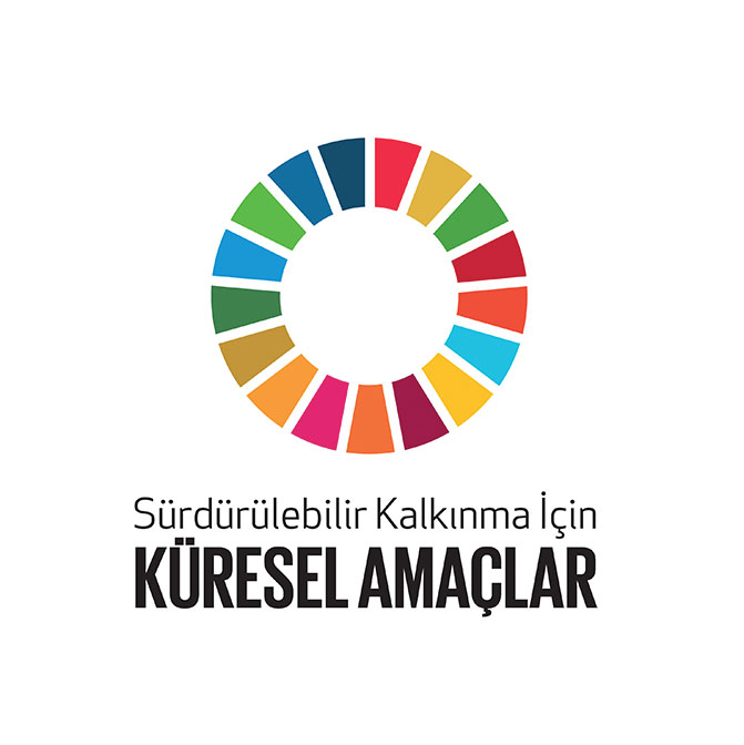 Küresel Hedefler Temel Logo
